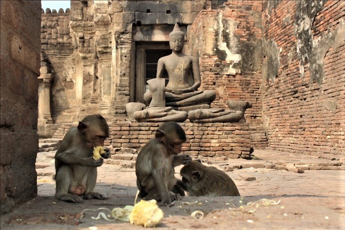 lopburi