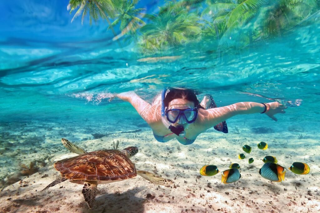snorkeler con mtartaruga