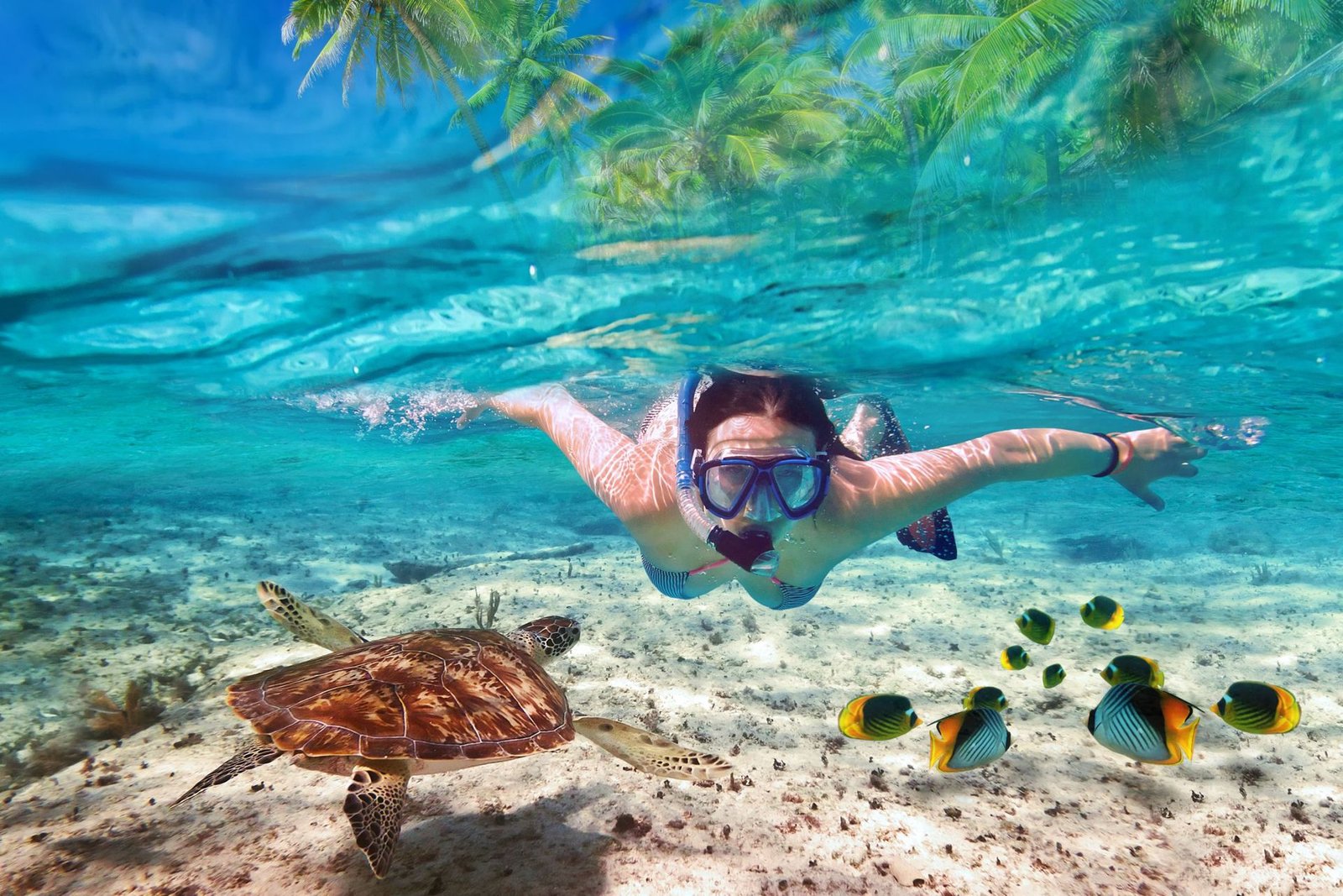 Il parco Nazionale Marino di Mu ko Ang Thong, in tutte le destinazioni in thailandia