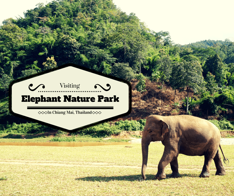 Elephant Nature Park