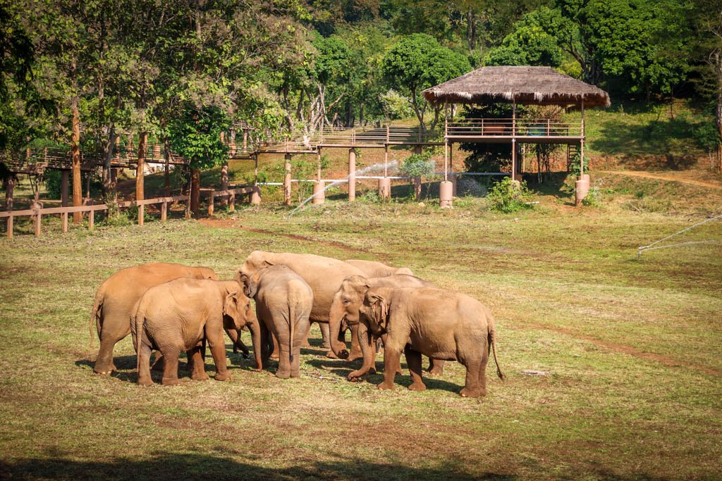 Elephant Nature Park