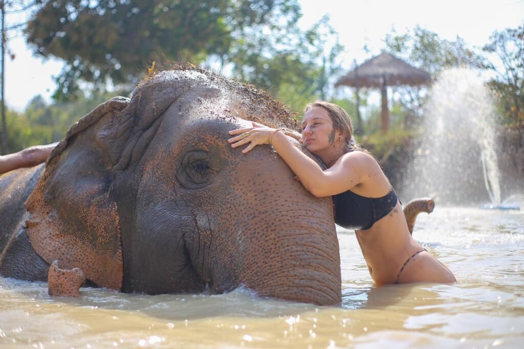 Elephant Nature Park
