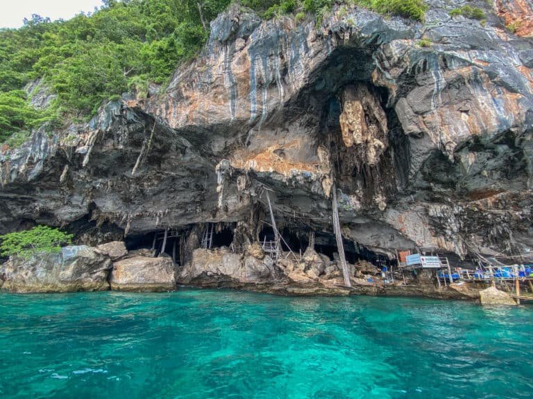 Viking Cave, dove raccolgono i nidi di rondine
