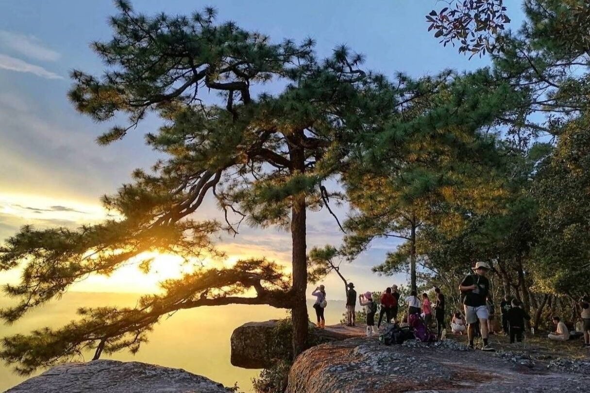 Il Parco Nazionale di Phu Kradueng