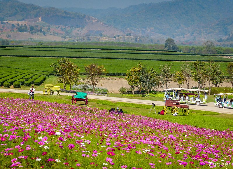 Tour Privato Chiang Rai