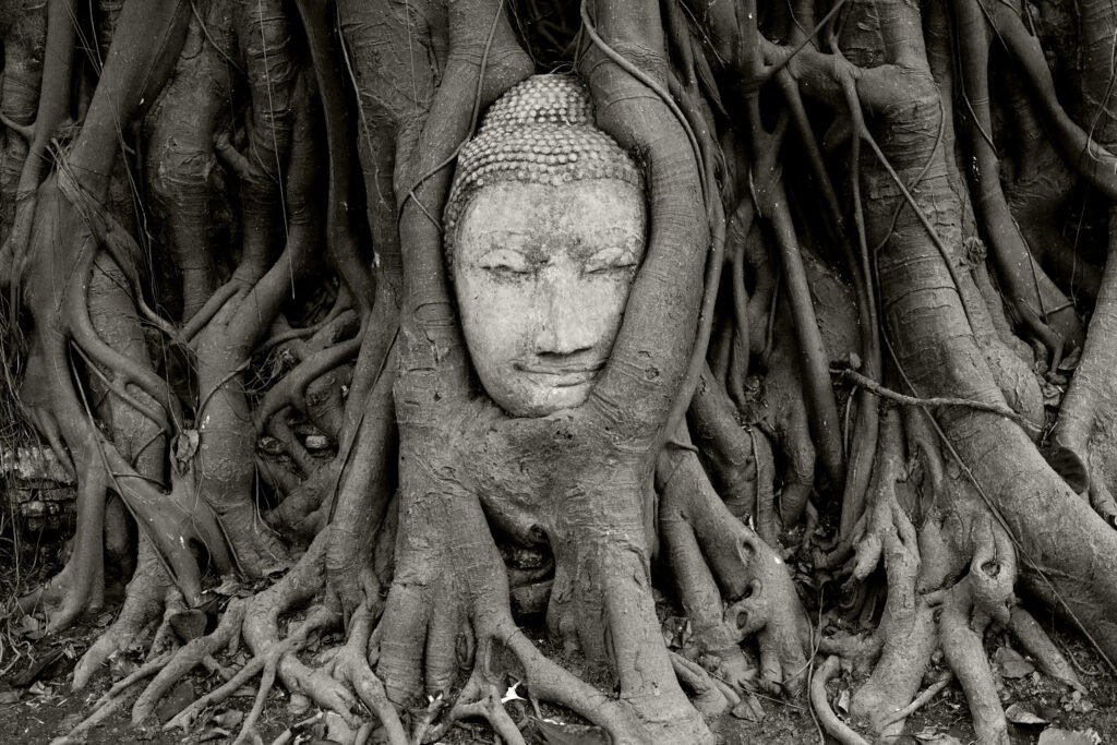 wat mahathat, iconica visita durante il Tour gruppo ad Ayutthaya
