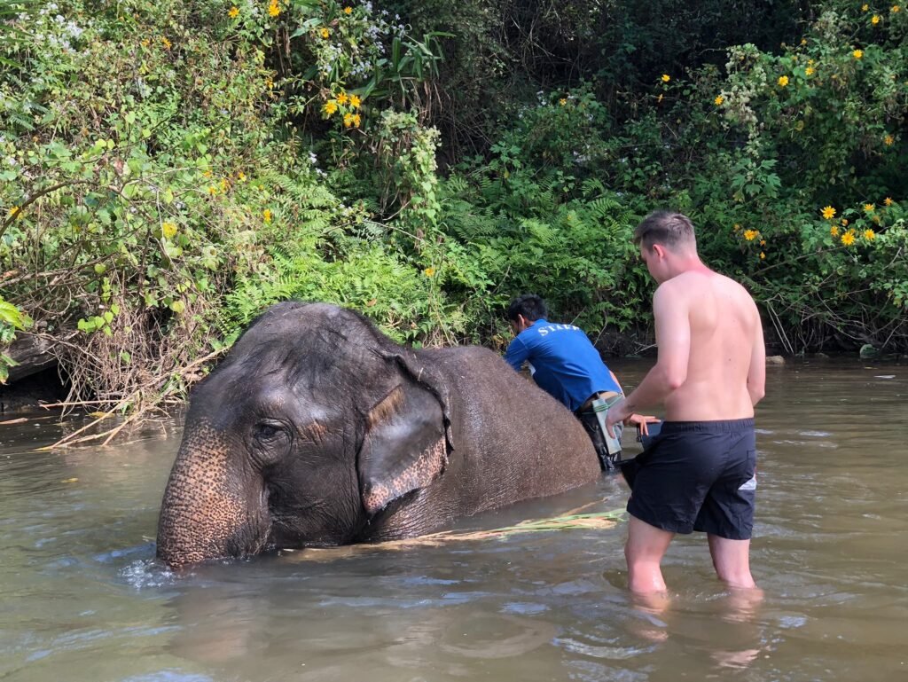 Bagno con gli elefanti nel tour Doi Inthanon Elefanti e Trekking