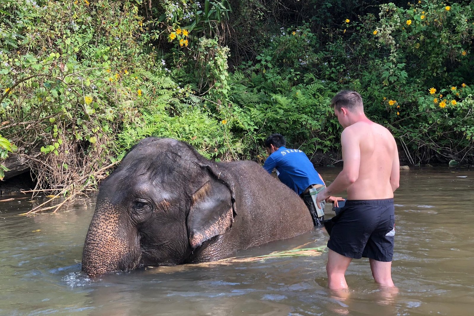 Tour di gruppo: Doi Inthanon, elefanti etici e percorso Trekking.