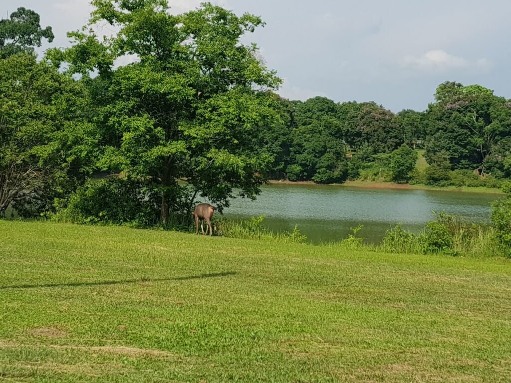 Khao Yai Tesoro Naturale