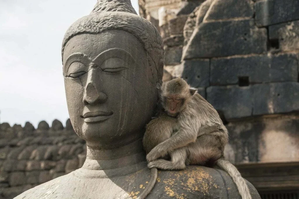 statue e scimmie