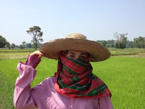 La storia del riso in Thailandia