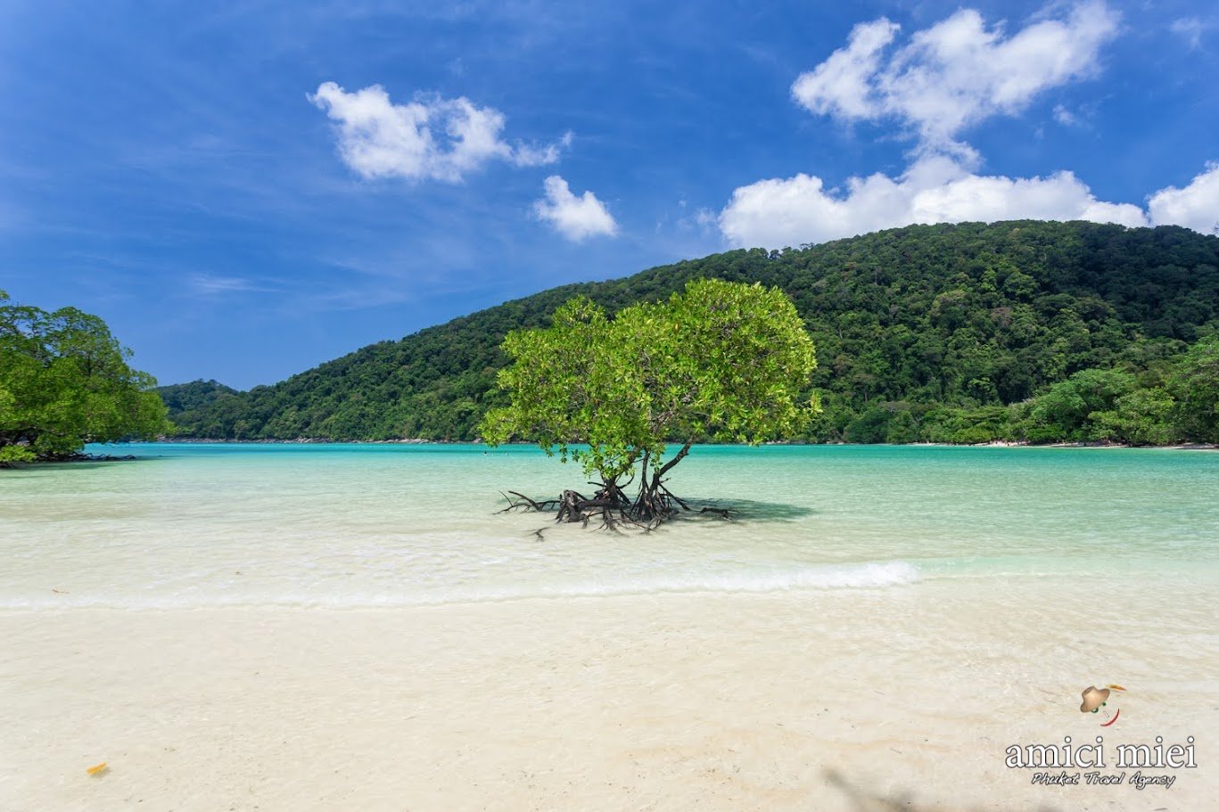 Surin Island