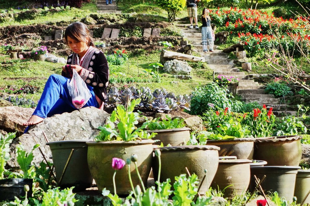 donna hmong al parco doi inthanon