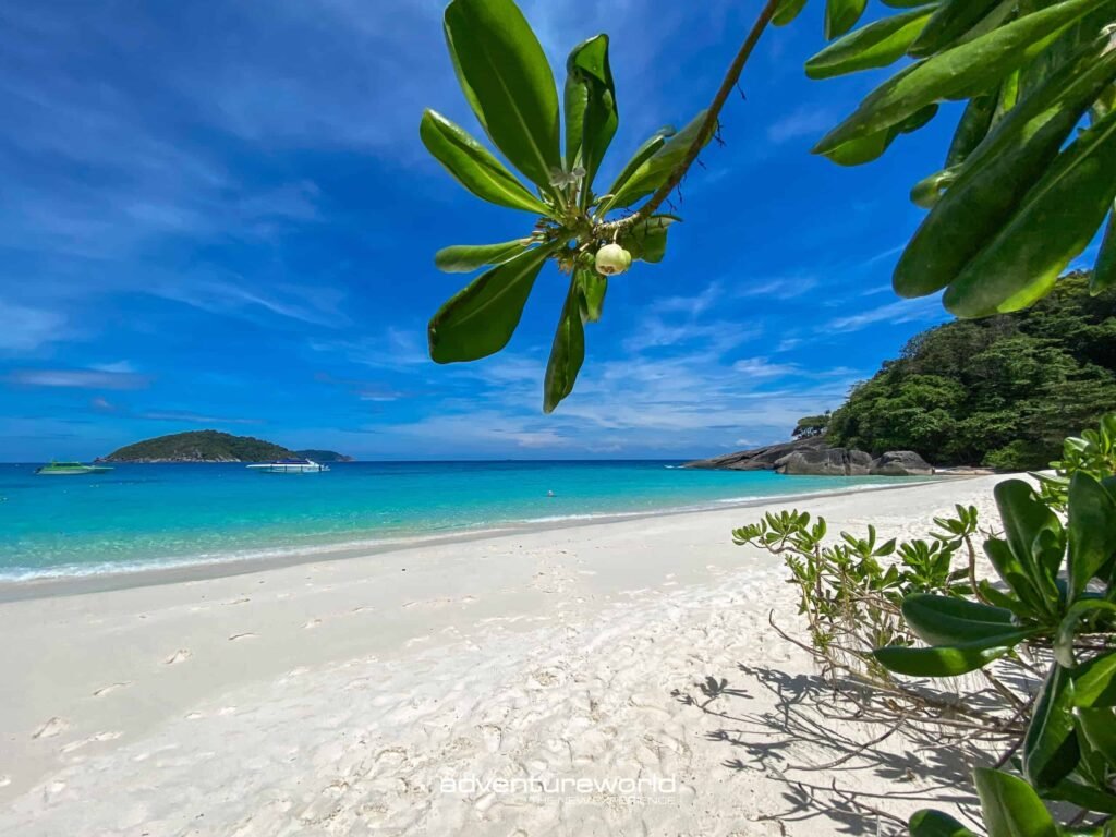 princess bay nel tour Similan Island mattino presto