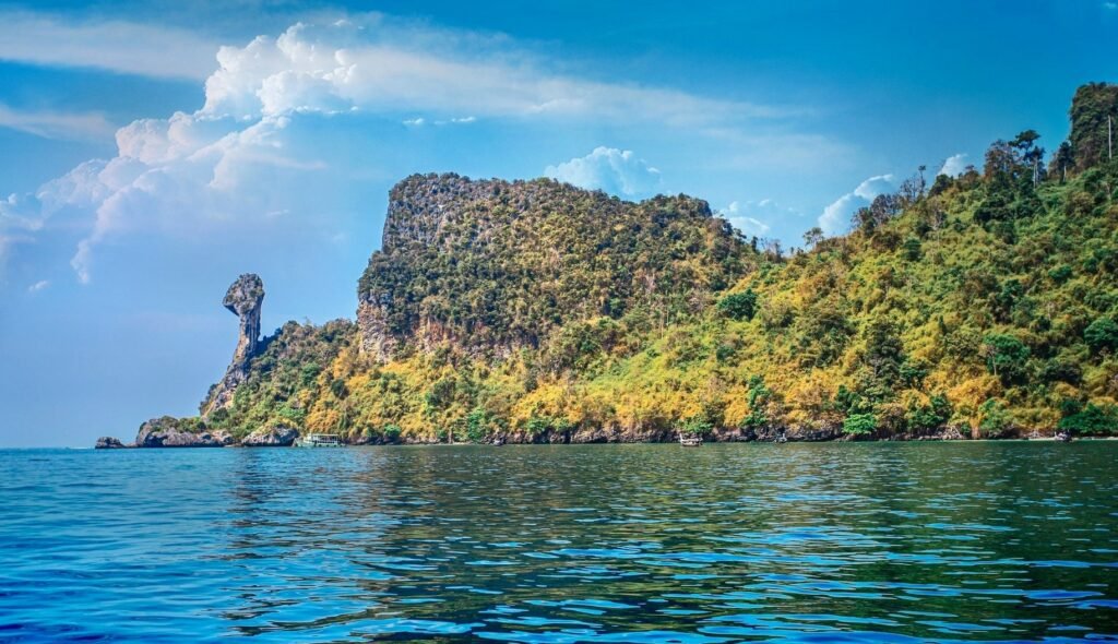 chicken island