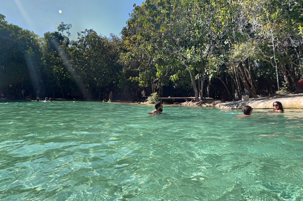 Jungle Tour