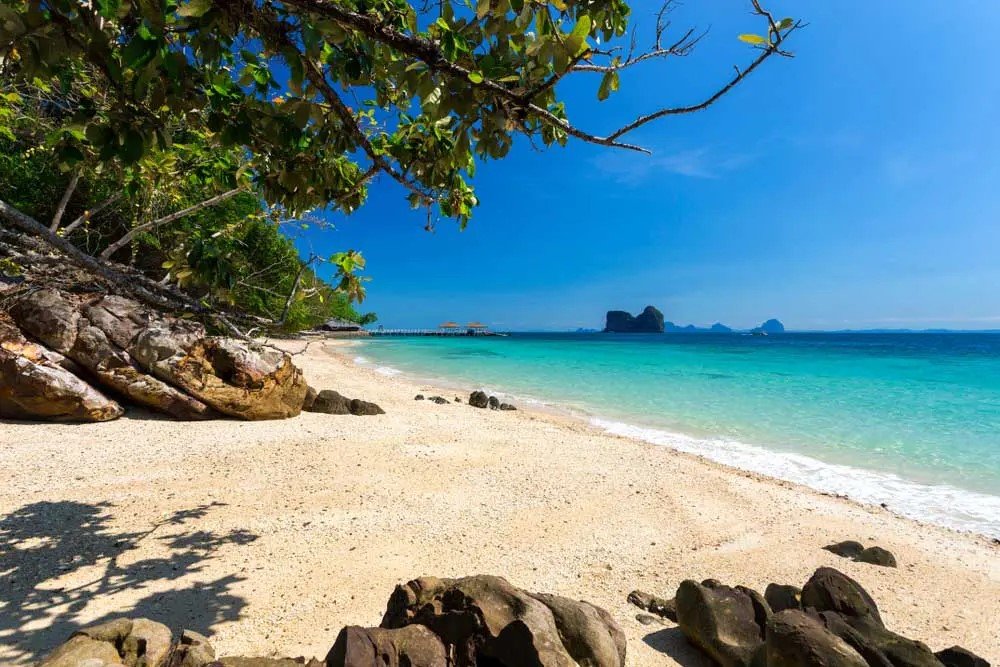koh ngai