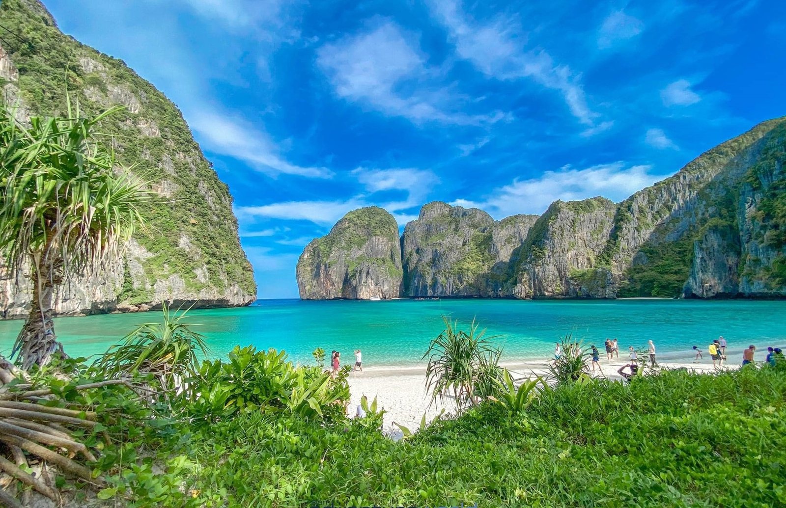 maya bay phi phi island