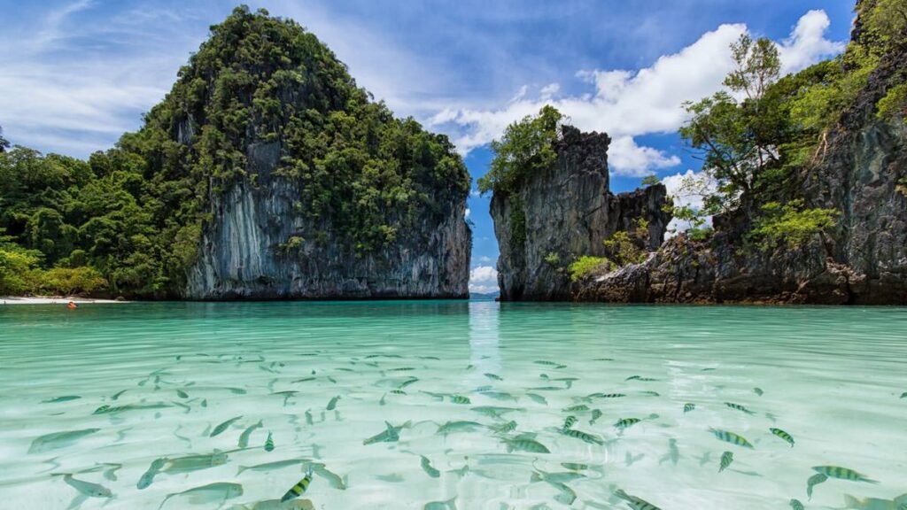 Tutti i tour da Krabi