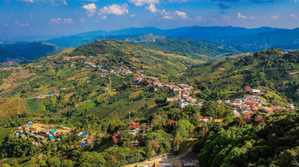 vista
