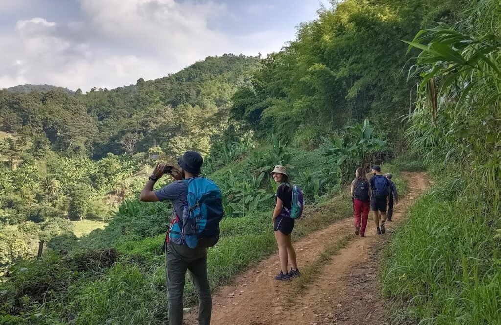 Trekking