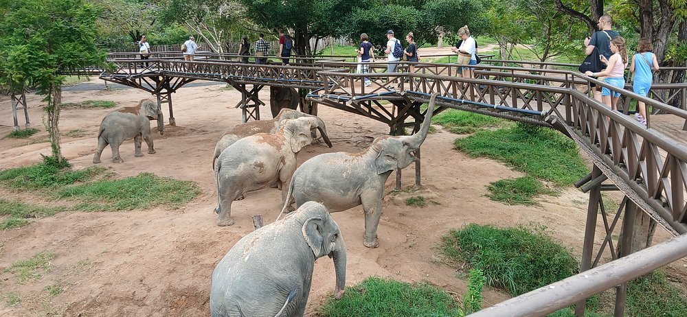 skywalk